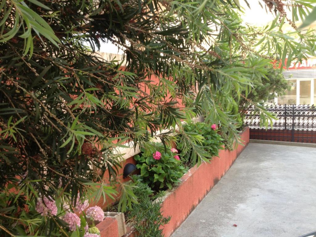 Apartments Boreta Μπούντβα Εξωτερικό φωτογραφία
